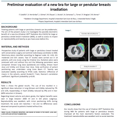 Reus Spain preliminary evaluation poster thumbnail